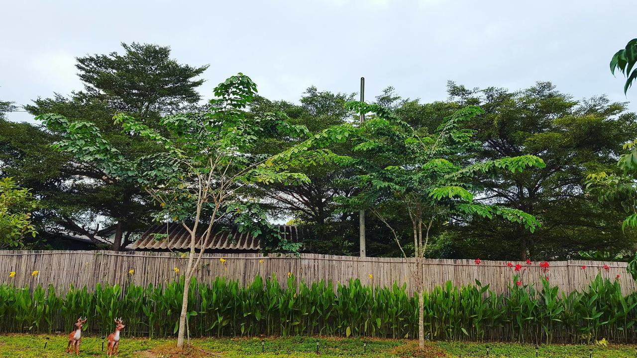 บ้านสวนมีดี ลำพูน Meedee Homestay Lamphun Ban Nong Pla Kho Екстер'єр фото
