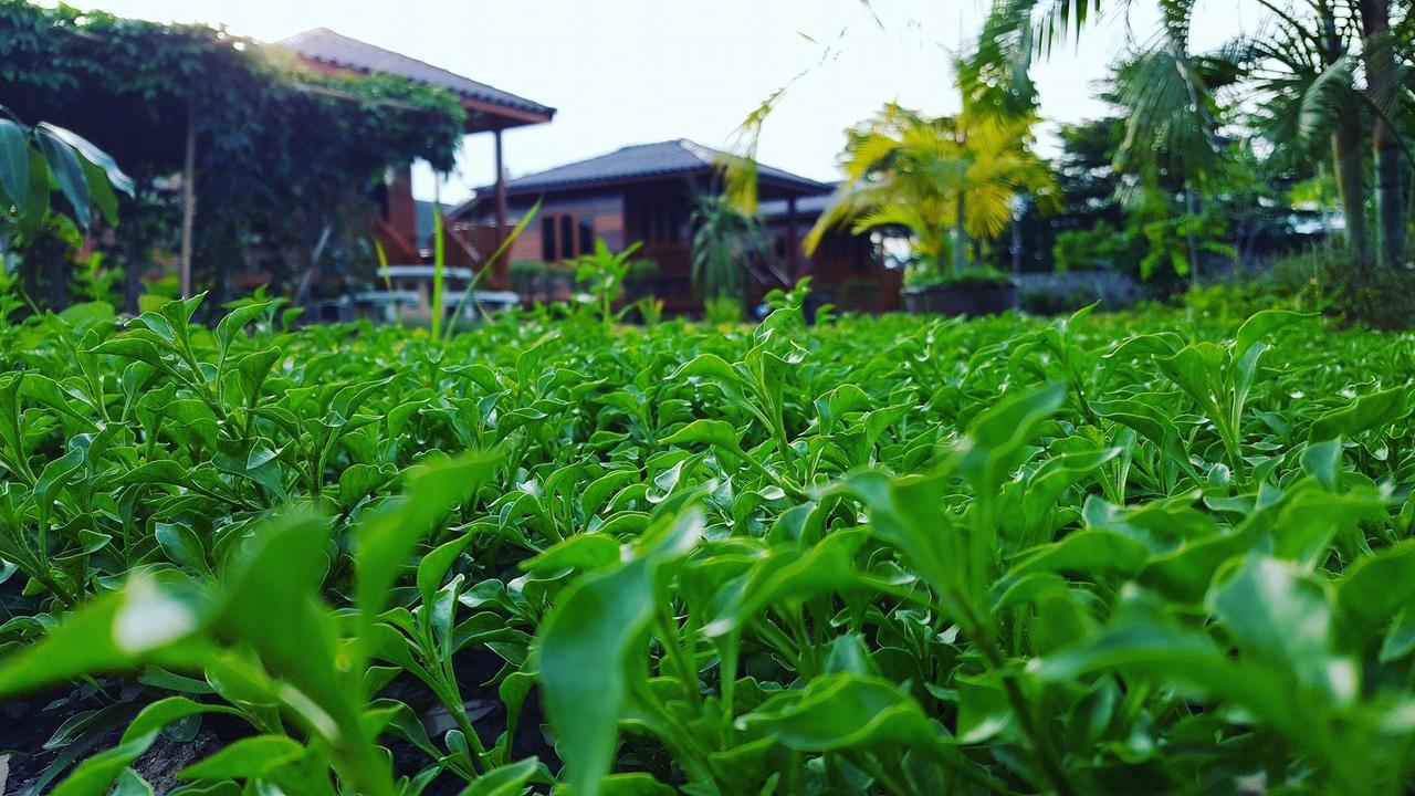 บ้านสวนมีดี ลำพูน Meedee Homestay Lamphun Ban Nong Pla Kho Екстер'єр фото