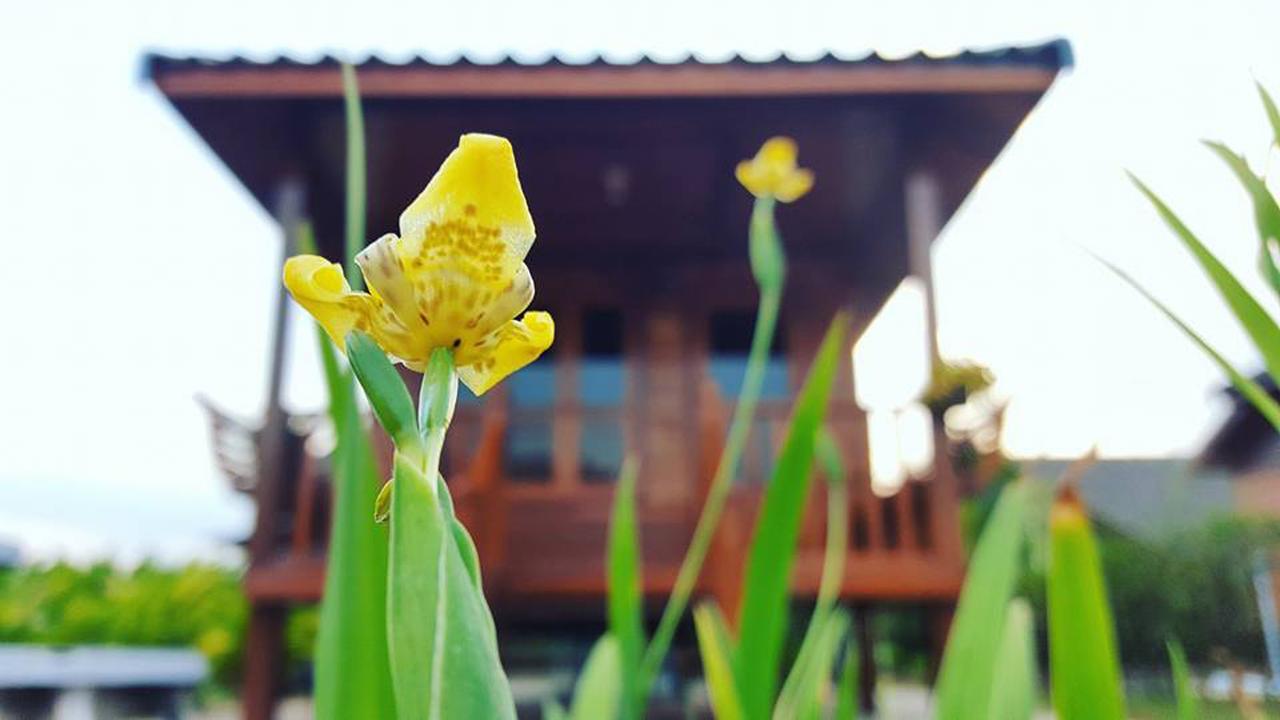 บ้านสวนมีดี ลำพูน Meedee Homestay Lamphun Ban Nong Pla Kho Екстер'єр фото
