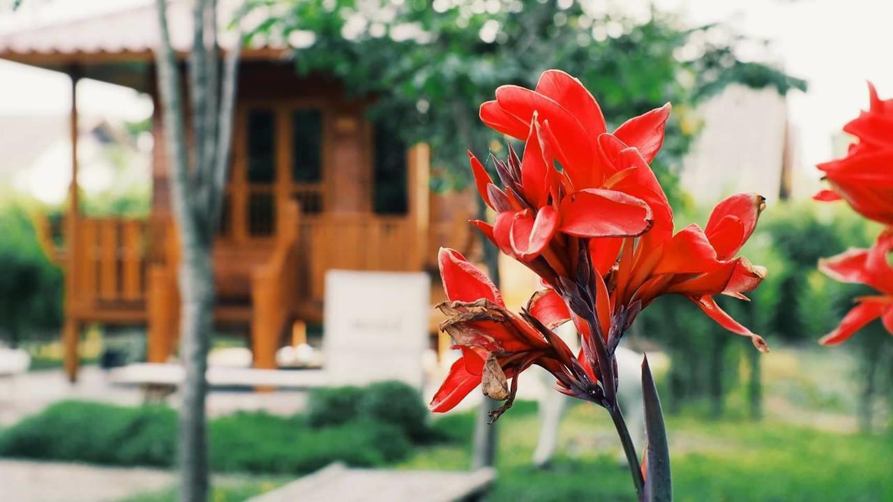 บ้านสวนมีดี ลำพูน Meedee Homestay Lamphun Ban Nong Pla Kho Екстер'єр фото